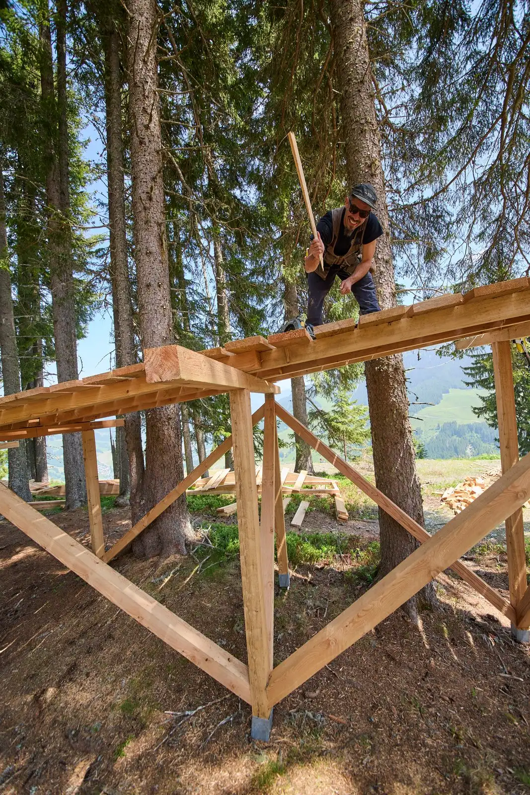 12er Sky Line - Bild 6