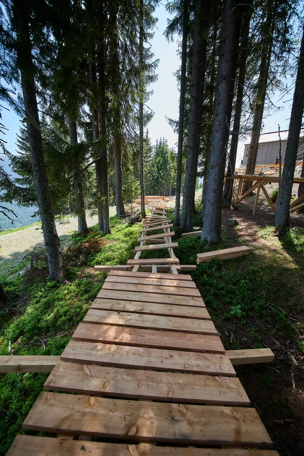 12er Sky Line - Bild 7