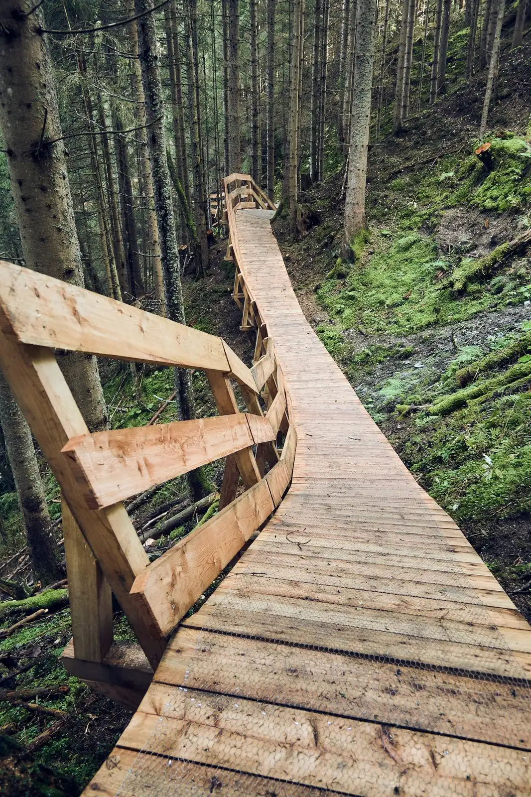Bearly Legal - Bild 6