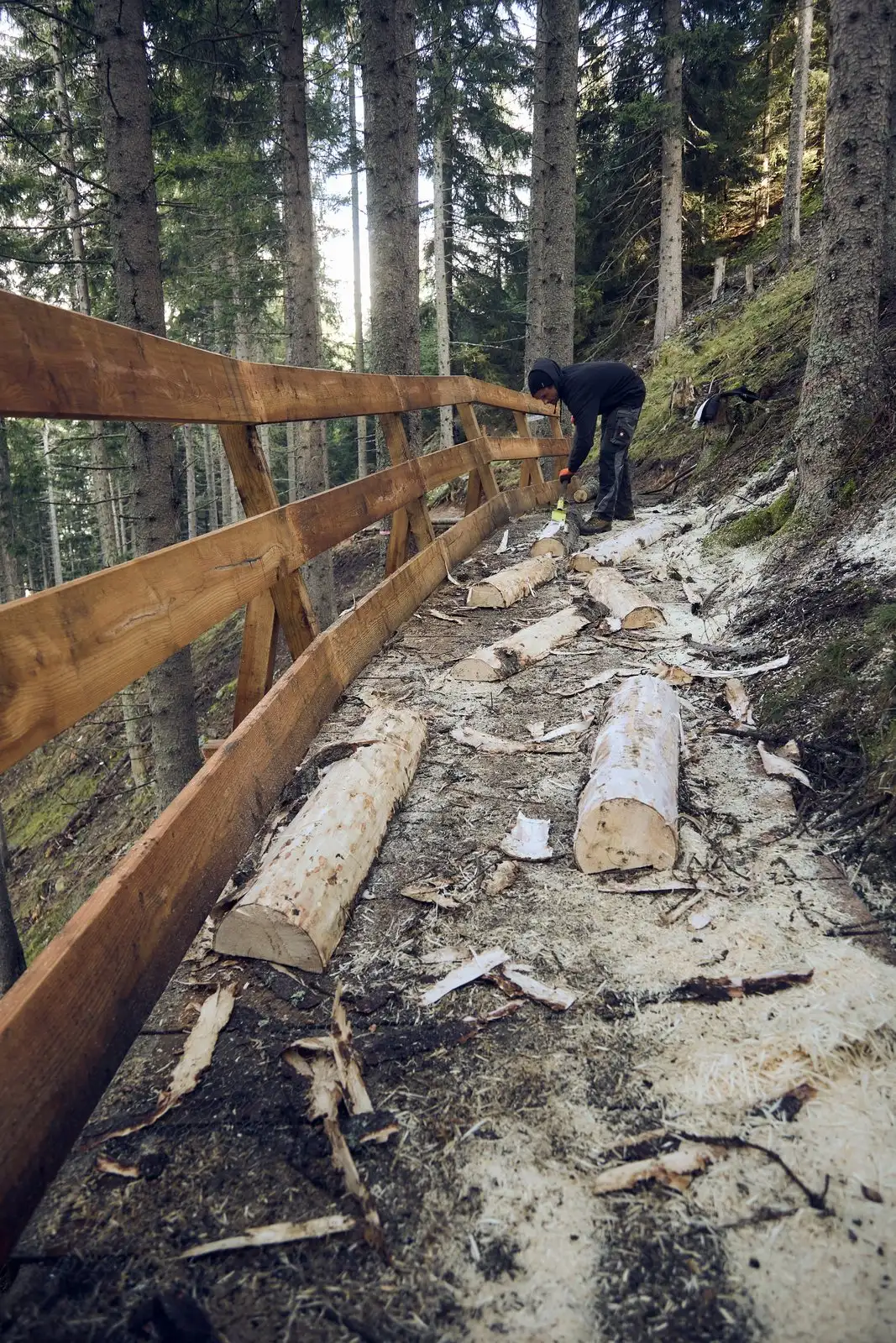 Bearly Legal - Bild 7