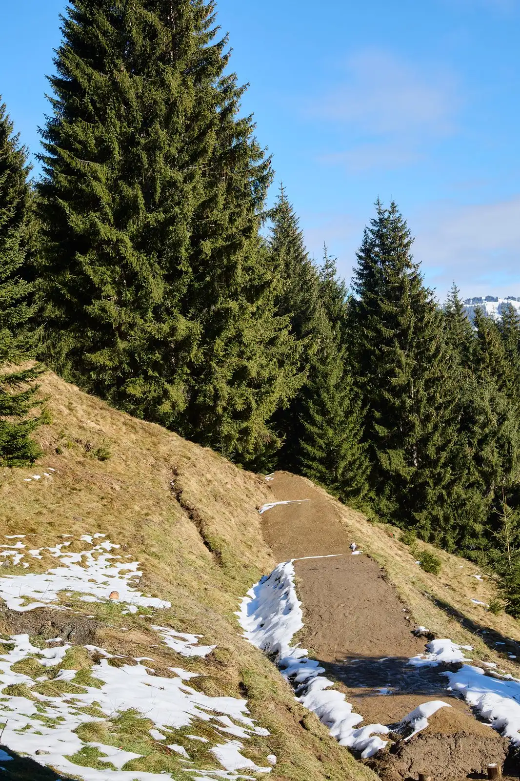 Blue Line - Bild 17