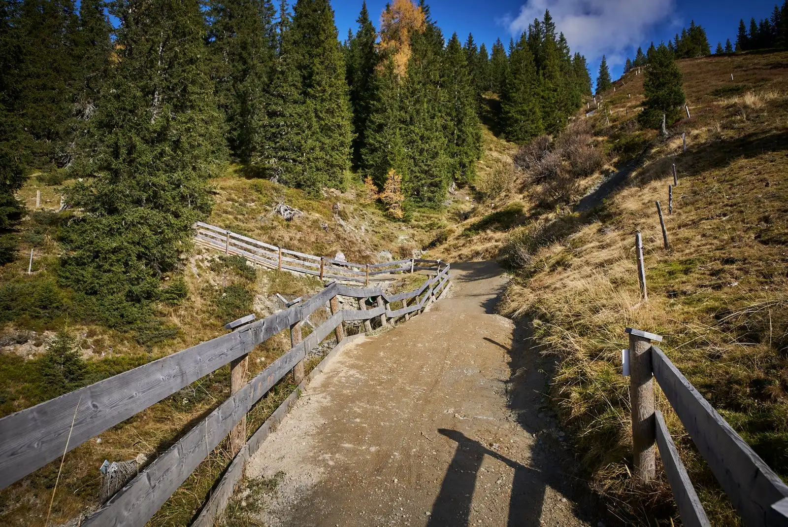 Hacklberg Trail - Bild 3