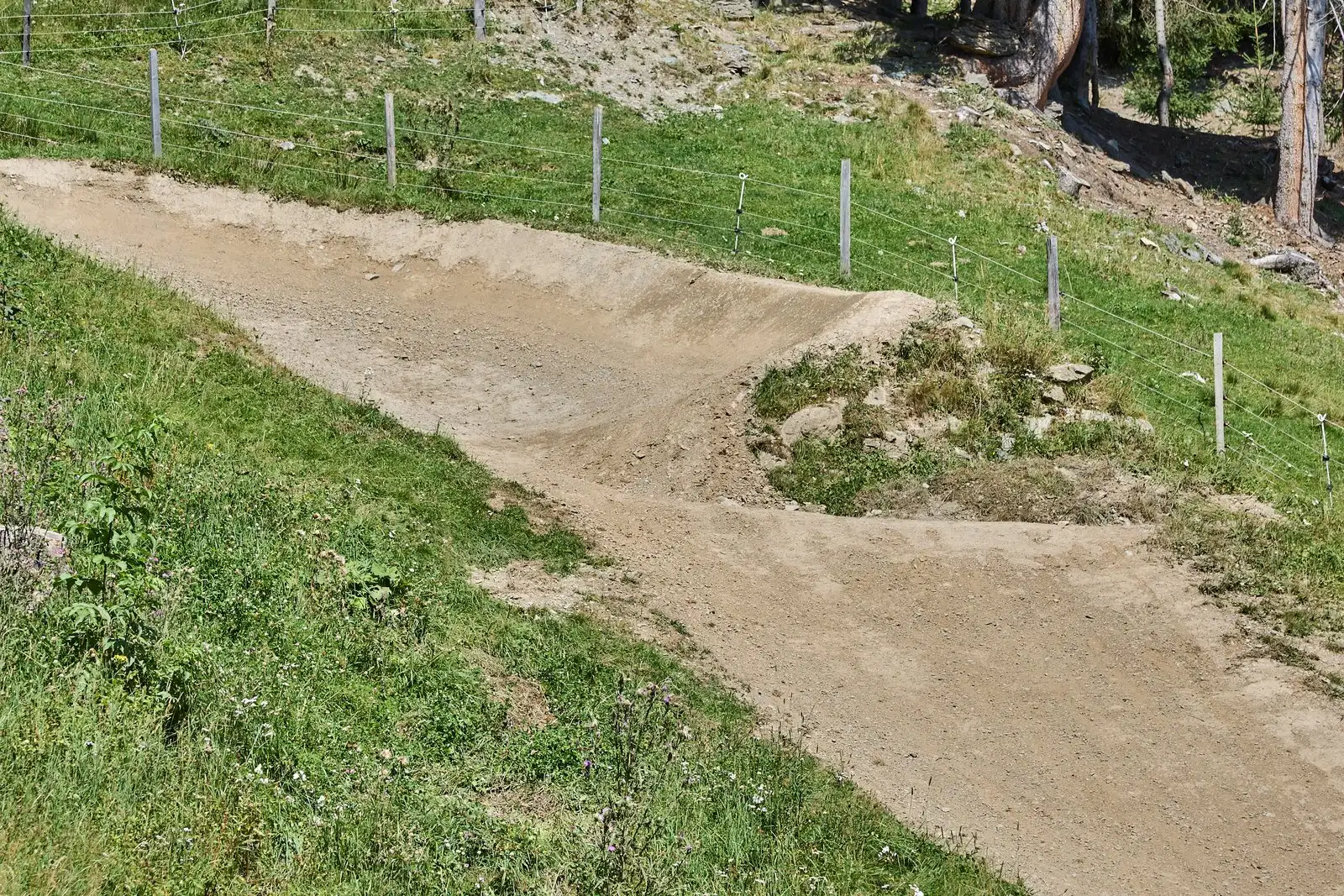 Pro Line - Bild 8