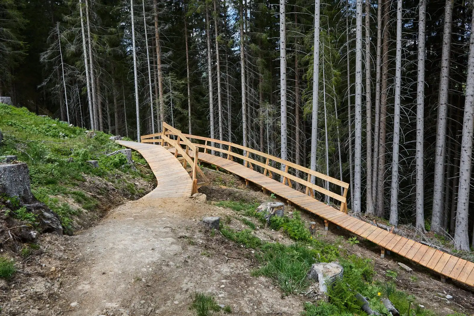 Z-Line - Bild 56