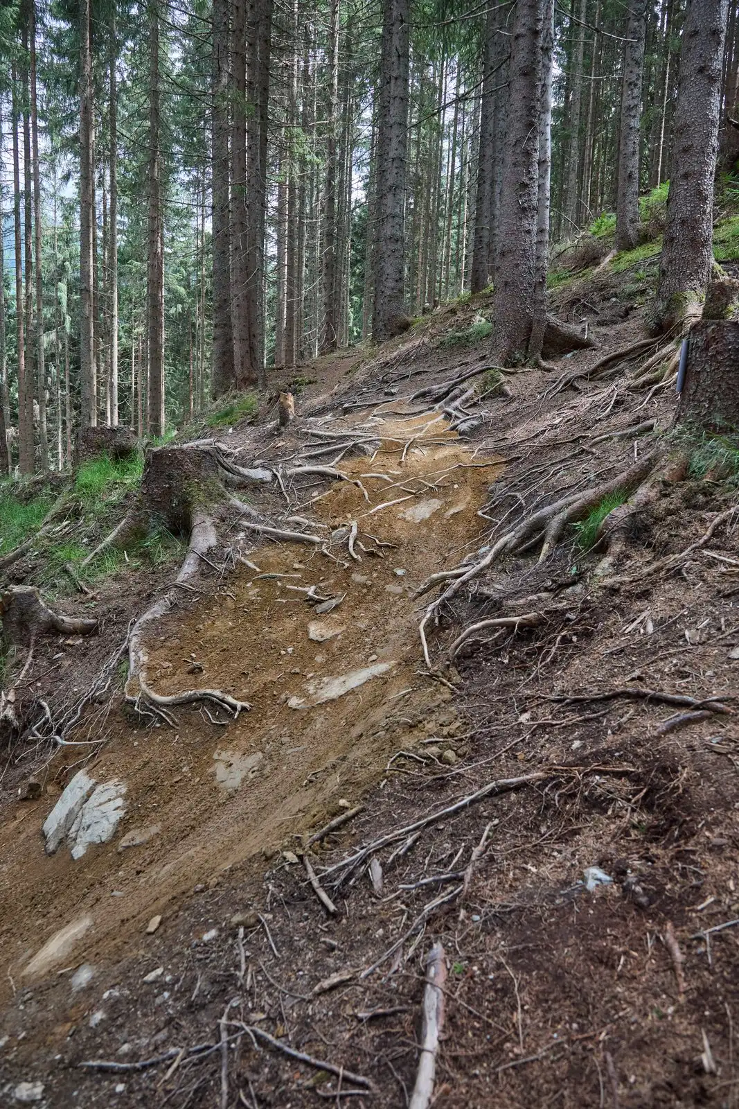 Z-Line - Bild 60