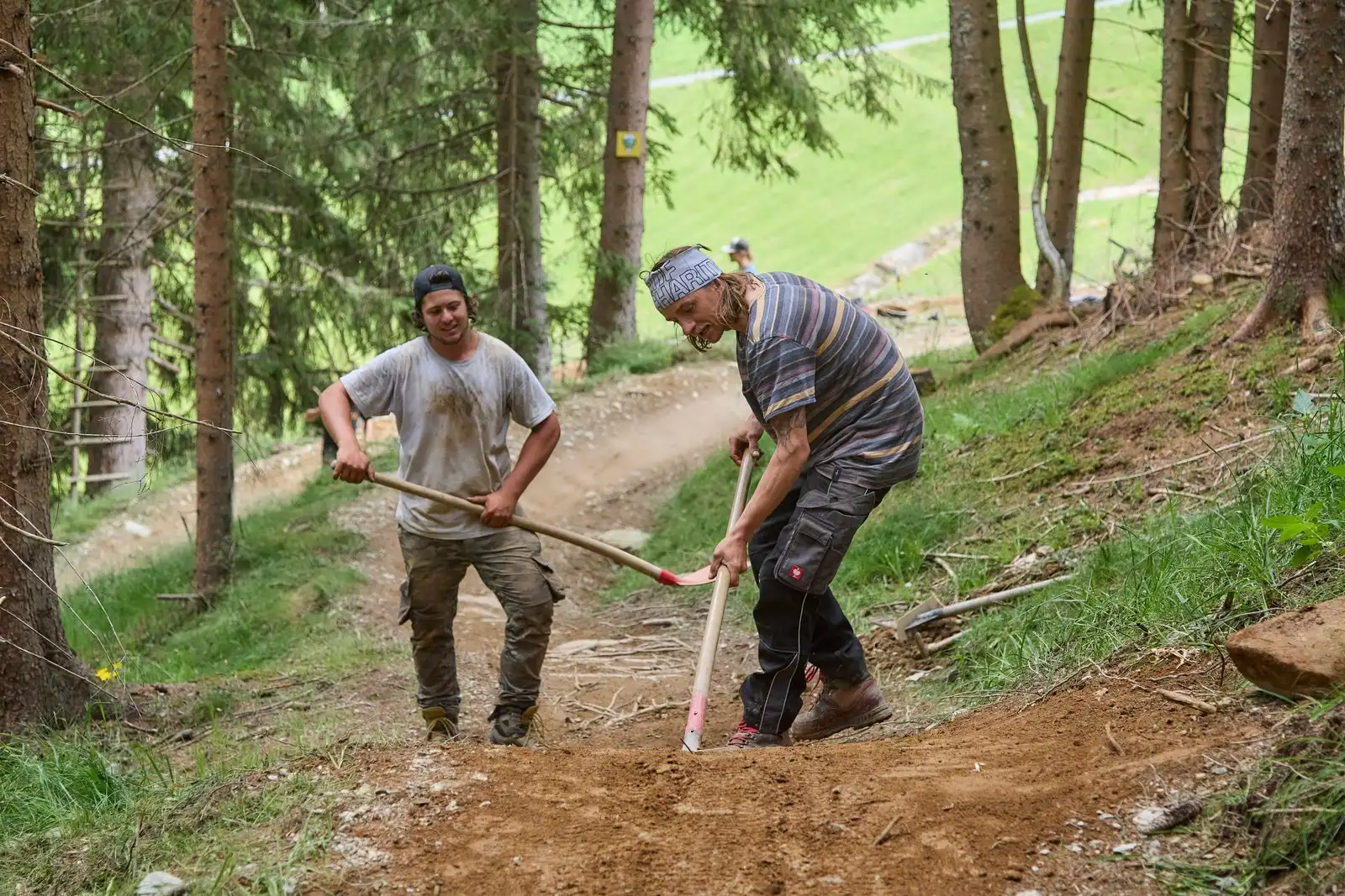 Z-Line - Bild 61