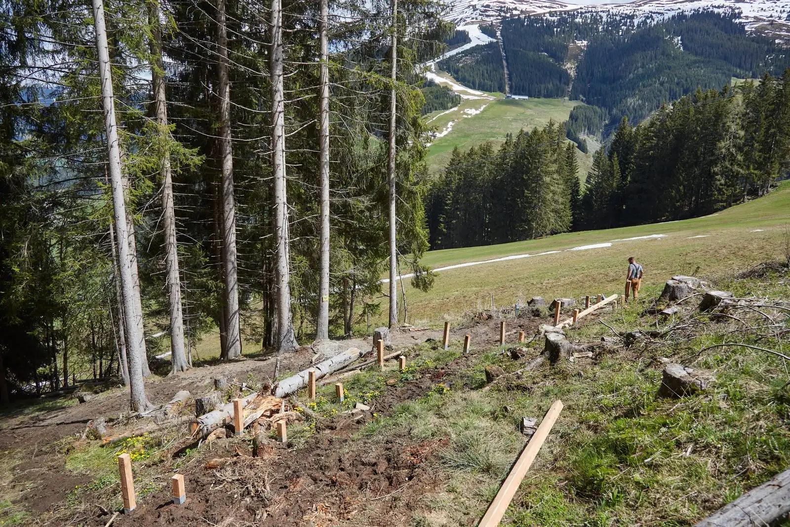 Z-Line - Bild 65