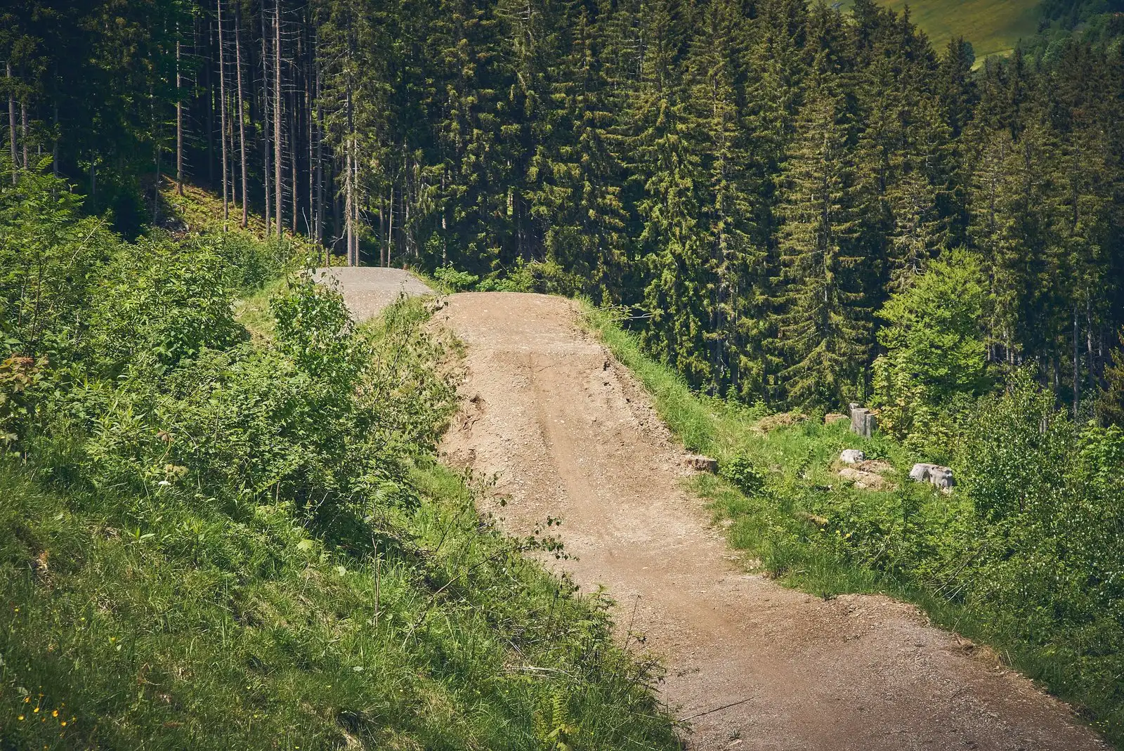 Z-Line - Bild 19