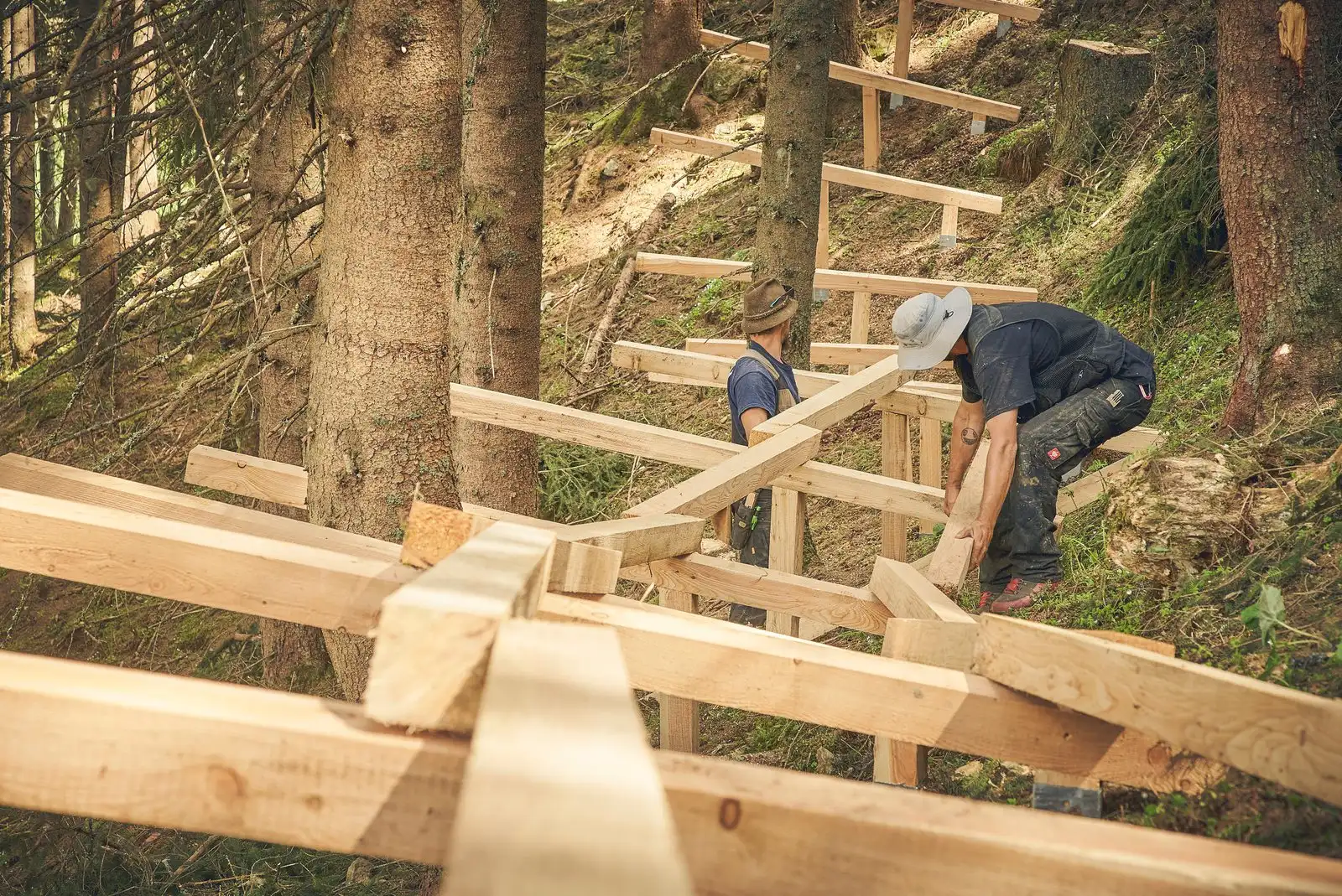Z-Line - Bild 38
